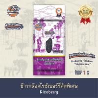 ราคา ค่าส่งถูกที่สุด ข้าวกล้องไรซ์เบอรี่ คัดพิเศษ ปลอดสาร 1 กก (7210459862)