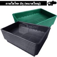 ราคา ถาดไดโซะ มีรู ขนาดใหญ่ 10ใบ ถาดเพาะแคคตัส ถาดเพาะกล้า ถาดเพาะต้นอ่อน 0256 10 (6077785479)