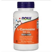 ราคา Now Foods L Carnosine 500 mg 100 Vcaps (2828554063)