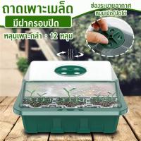 ราคา MegaHouse ถาดเพาะกล้า ถาดเพาะต้นกล้า ถาดเพาะเมล็ด พร้อมฝาระบายอากาศ ถาดปักชำกิ่ง 12 หลุม NO KS027 (9669795436)