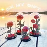 ราคา โค้ดWQAFA ลด60 Preserved Rose Flower ดอกกุหลาบอมตะในโหลแก้ว สวยสดนาน5ปี (9013681901)