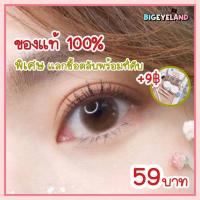 ราคา คอนแทคเลนส์ Mini Bom Brown Gray Kitty Kawaii ขนาดมินิ เนียน ธรรมชาติ ขายดีมาก (4771867579)