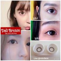 ราคา คอนแทคเลนส์ รุ่น Mini Dali สีเทา ตาล gray brown มีค่าสายตา 0 00 6 00 (20233275016)