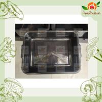 ราคา กระบะเลี้ยงไส้เดือน กะละมังเลี้ยงไส้เดือน กะละมังพลาสติก กระบะเพาะกล้า กระบะผักไฮโดรโปนิกส์ (9314147434)