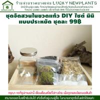 ราคา ชุดจัดสวนในขวดแก้ว DIY สวนขวดประหยัด 99 มีของพร้อมส่ง (859175021)