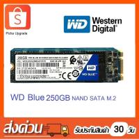 ราคา 250GB WD Blue 3D NAND SATA SSD M 2 2280 (16313202812)