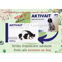 ราคา Aktivait medium and LARGE breed สุนัขพันธ์ใหญ่ บำรุงประสาทและสมอง Exp2024 (14304621181)