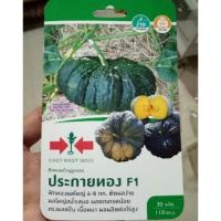 ราคา เมล็ดฟักทอง ฟักทองผลใหญ่ลูกผสม ตราศรแดง รุ่นประกายทองF1 (4717802377)