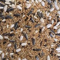 ราคา อาหารนกแก้ว ธัญพืช 10 อย่าง ฟอพัส เลิฟเบิร์ด ค็อกคาเทล นกแก้วพันธุ์เล็ก กลาง แบ่งขาย 1kg (15955354681)