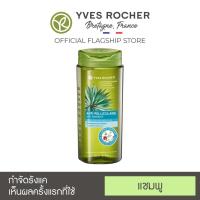 ราคา New Yves Rocher BHC Anti Dandruff Treatment Shampoo 300ml (2758969191)