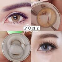 ราคา คอนแทคเลนส์ รุ่น mini pony little pony สีเทา ตาล gray brown มีค่าสายตา 0 00 10 00 (14976228460)
