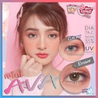 ราคา kitty kawaii Mini Ava Gray Brown คอนแทคเลนส์ ขนาด มินิ (2328836129)