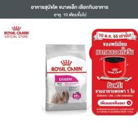 ราคา Royal Canin Mini Exigent 3kg อาหารเม็ดสุนัขโต พันธุ์เล็ก ช่างเลือกอาหาร อายุ 10 เดือนขึ้นไป Dry Dog Food โรยัล คานิน (1636238732)
