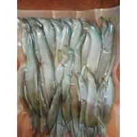 ราคา ปลาหลดแดดเดียวขนาด 500 กรัม ราคา 190 บาท (8627423612)