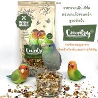ราคา อาหารนก Country Witte molen อาหารเลิฟเบิร์ดและนกแก้วขนาดเล็ก ฟอพัส ธัญพีชสำหรับนกแก้ว (16706670024)