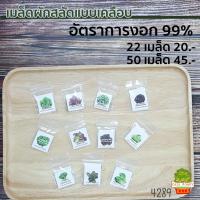 ราคา เมล็ดพันธุ์ผักสลัด ชนิดเคลือบ 22 50 กรีนโอ๊ค เรดโอ๊ค ผักคอส ฟิลเล่ย์ มินิคอส บัตเตอร์เฮด (703062193)