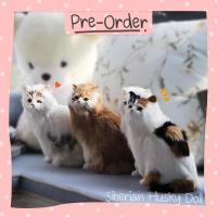 ราคา Pre Order ตุ๊กตาแมว แมวจำลอง แมวเหมือนจริง เปอร์เซีย แมวขาว แมวดำ แมวสามสี โมเดลแมว รูปปั้นแมว ทาสแมว คนรักแมว น่ารัก (3333146735)