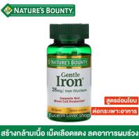 ราคา Nature s Bounty Gentle Iron 28 mg 90 Capsules สูตรอ่อนโยนต่อกระเพาะอาหาร (9239572289)