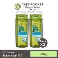 ราคา แพ็คคู่ Yves Rocher BHC V2 Anti Dandruff Treatment Shampoo 300ml (2813844045)