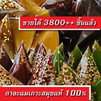 ราคา ของแท้ 100 เจ้าที่ขายมานานกว่า 20 ปี แบบใหม่ ขนม กาละแม กาละแมเกาะสมุย แท้ Coconut Caramel ผลิตสดใหม่ทุกออเดอร์ (3375255119)