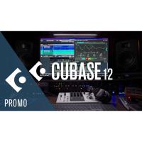 ราคา Steinberg Cubase Pro 12 11 WiN x64 LIFETIME FULL WORKING Full Version (8901916522)
