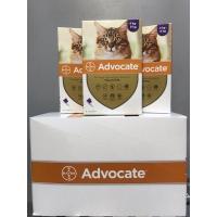 ราคา Advocate for cat สีม่วง ยาหยดหลังกำจัดพยาธิภายนอกและภายใน สำหรับแมวหนัก4 8 kg (12569030404)