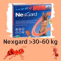 ราคา เห็บ หมัด หมา NexGard น้ำหนัก 30-60 kg บรรจุ3เม็ด (4496963189)