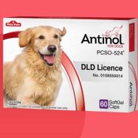 ราคา Antinol ช่วยบำรุงข้อ กระดูก ขน ผิวหนัง และไต(1 กล่อง 60 caps) สำหรับสัตว์เลี้ยง (19446320674)