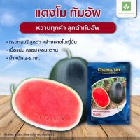 ราคา แตงโมทัมอัพ แตงโมดำ เมล็ดพันธุ์ แตงโม เจียไต๋ ซองละ 40กรัม เมล็ดแตงโม ทัมอัพ (3128023026)