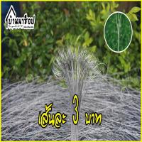 ราคา ลวดดักหนู ดักพังพอน ลวดแบบดีด ลวดสลิ่งดักหนู บ่วงดักหนู บ่วงดีด กับดักหนู ที่ดักหนู (13025356295)