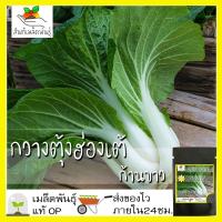 ราคา เมล็ดพันธุ์ กวางตุ้งฮ่องเต้ก้านขาว 500 เมล็ด Canton Pak Choi Seed เมล็ดพันธุ์แท้100% นำเข้าจากต่างประเทศ กวางตุ้ง ถูกดี (8022861106)