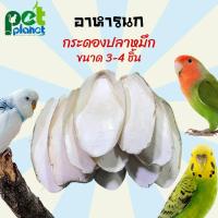 ราคา อาหารนก ลิ้นทะเล กระดองปลาหมึก แหล่งแคลเซียมสำหรับนก กระดูกปลาหมึก อาสำหรับนก แคลเซียมนก (11208804199)