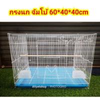 ราคา ***ถูก!ใหญ่!สะใจ!***กรงนก รุ่นจัมโบ้ กรงชูการ์ กรงกระรอก อุปกรณ์ครบ (5920443897)