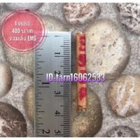 ราคา ตะกรุดจูงนางเข้าห้อง มหาเสน่ห์ (2154691714)
