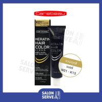 ราคา ครีมเปลี่ยนสีผม Carebeau Keratin Hair Color Cream แคร์บิว เคราติน แฮร์ คัลเลอร์ ครีม 100 g (16585174478)
