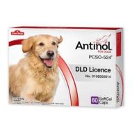 ราคา Antinol DOG 60 แคปซูล อาหารเสริม บำรุงข้อสุนัข ข้ออักเสบ 1 กล่องบรรจุ 60 เม็ด (60 ชิ้น) (23819781945)