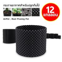 ราคา กระถางปลูกต้นไม้ Air Pot กระถางมีรู มี 7 ขนาดให้เลือก 1,3,5,7,10,12,20 แกลลอน กระถางปลูกต้นไม้ Air Pot สีดำ (13393981586)