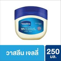 ราคา วาสลีน ปิโตรเลี่ยม เจลลี่ 250 มล Vaseline Pure Jelly 250 ml UNILEVER (7278468954)