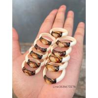 ราคา แหวนงา 5 มิล ถักหัวจากหางช้าง (หางช้างผสมสามสี) แหวนมงคลเสริมบารมี แท้100% (20236013064)