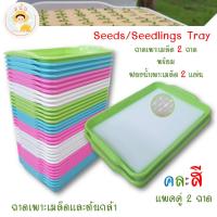 ราคา *ส่งด่วน* ถาดเพาะเมล็ด ถาดเพาะต้นกล้า เพาะกล้า ถาดเพาะไฮโดร ใส่ฟองน้ำเพาะเมล็ด แพคคู่ 2 ถาด พร้อมฟองน้ำปลูกผัก 2 แผ่น (18260432712)