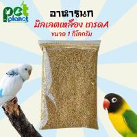 ราคา อาหารนก ขนมนก ข้าวนก อาหารนกหงส์หยก มิลเล็ตเหลืองเกรด A ขนาด 1 กิโลกรัม (11218287502)