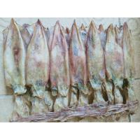 ราคา ปลาหมึกแพไข่ 3 นิ้ว ไข่ทุกตัวครึ่งโล 490 บาท (1383015340)