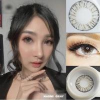 ราคา คอนแทคเลนส์ บิ๊กอาย ตาโต รุ่น Naomi สีเทา/ตาล gray/brown มีค่าสายตา (0.00)-(10.00) (18250827506)