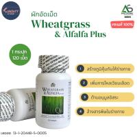 ราคา Wheatgrass & Alfalfa Plus ผักเม็ด วีทกราสและอัลฟัลฟา ผลิตภัณฑ์เสริมอาหาร แอมสตรอง ของแท้ สูตรดั้งเดิม 120 เม็ด (6078278581)