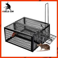 ราคา กรงดักหนูสปริง2ตัวโครงหนา กรงดักหนู กรงดักหนูแบบมีโครง กรงดักหนูสปริงคู่ กรงดักหนูนา กรงดักหนูเล็ก (22713631308)