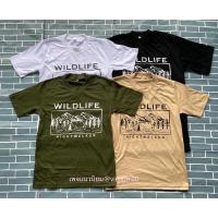 ราคา เสื้อผ้าวินเทจ/เสื้อยืดคอฟิตวินเทจ90/เสื้อคอฟิต/วิว (13937354126)