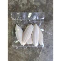 ราคา กระดองปลาหมึก แพ๊คจิ๋ว (5ชิ้น) (13358461573)