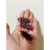 ราคา จิ้งจกปลอม ตุ๊กแกปลอม แมลงสาบปลอม หนูปลอม (22469600032)