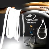ราคา ไฟแถบนีออน neon flex LED ดัดงอได้ ยาว3/5/10ม สีสวยกันน้ำแรงดัน 220V เหมาะแก่การตกแต่งบ้าน ต่อปลั๊กให้พร้อมใช้งาน (22638396234)
