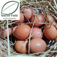 ราคา ไข่ไก่อารมณ์ดี ปลอดสาร สดใหม่จากฟาร์มทุกวัน (Fresh Organic Free-range Chicken Eggs) (23425445282)